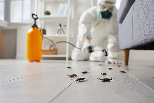Commercial Kitchen Cockroach Control in Bloomington